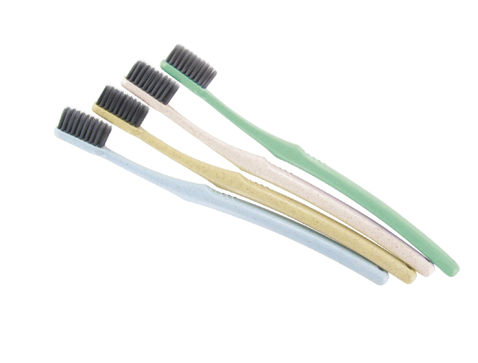 Brosses à dents adulte - SOURIS VERTE BRUSH 🌳